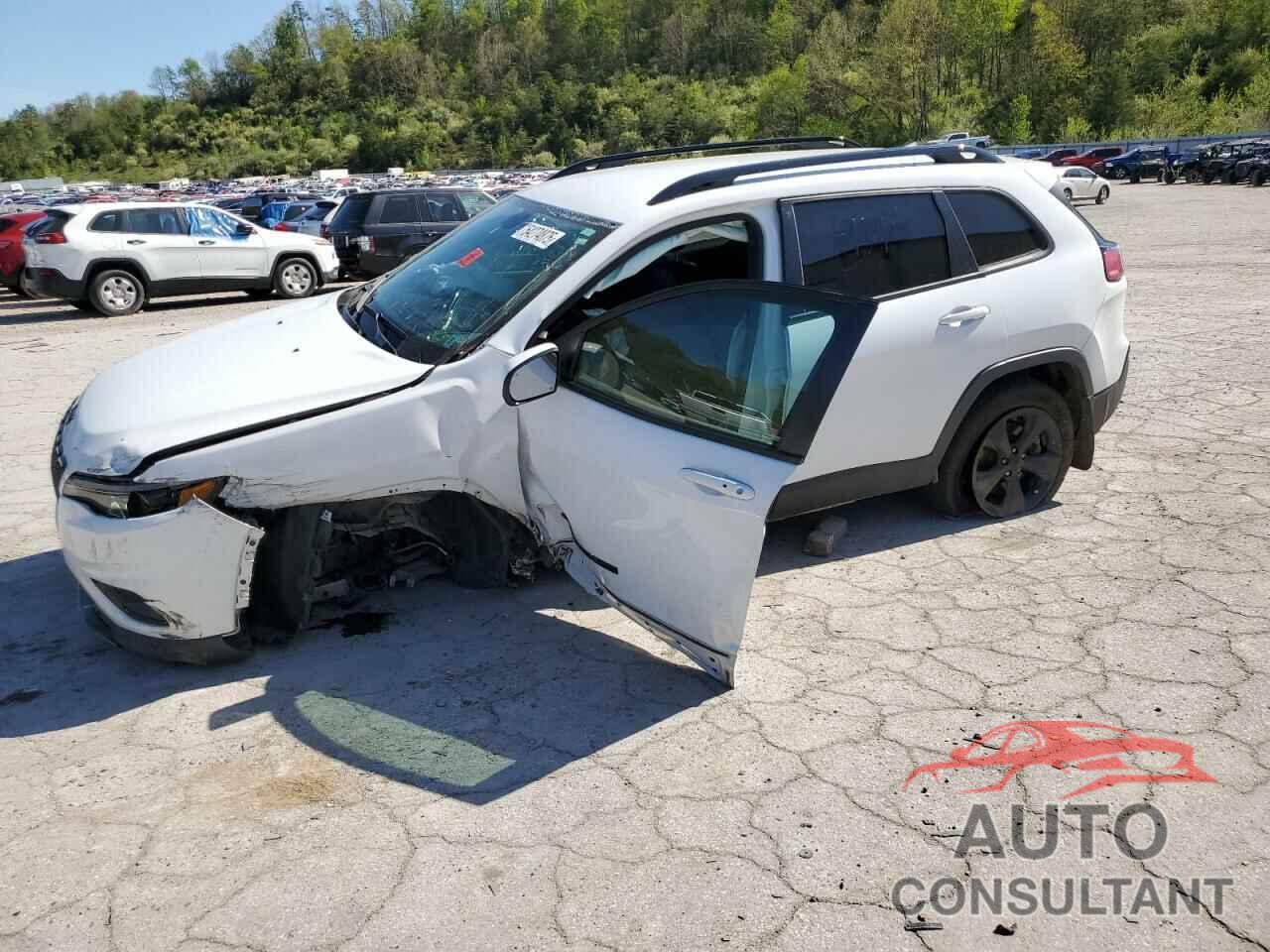 JEEP GRAND CHER 2019 - 1C4PJMLBXKD386731