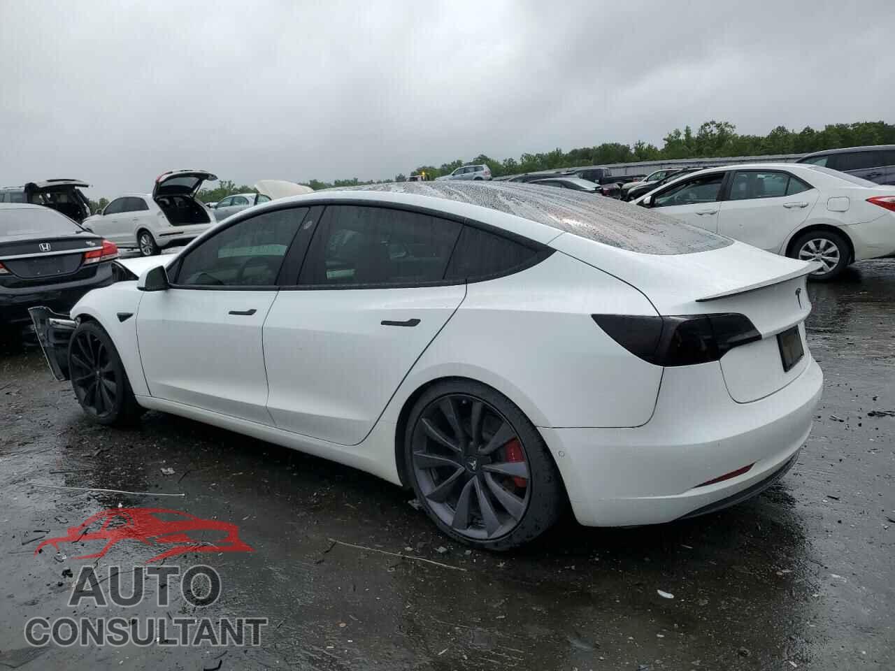 TESLA MODEL 3 2019 - 5YJ3E1EB7KF423192