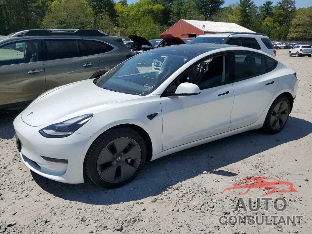 TESLA MODEL 3 2021 - 5YJ3E1EB1MF014995