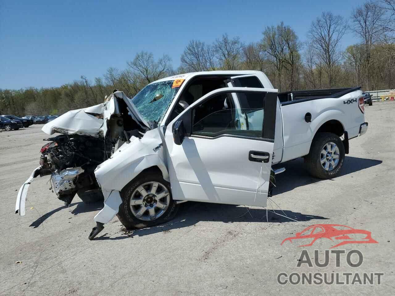 FORD F150 2013 - 1FTFX1EFXDFD78743
