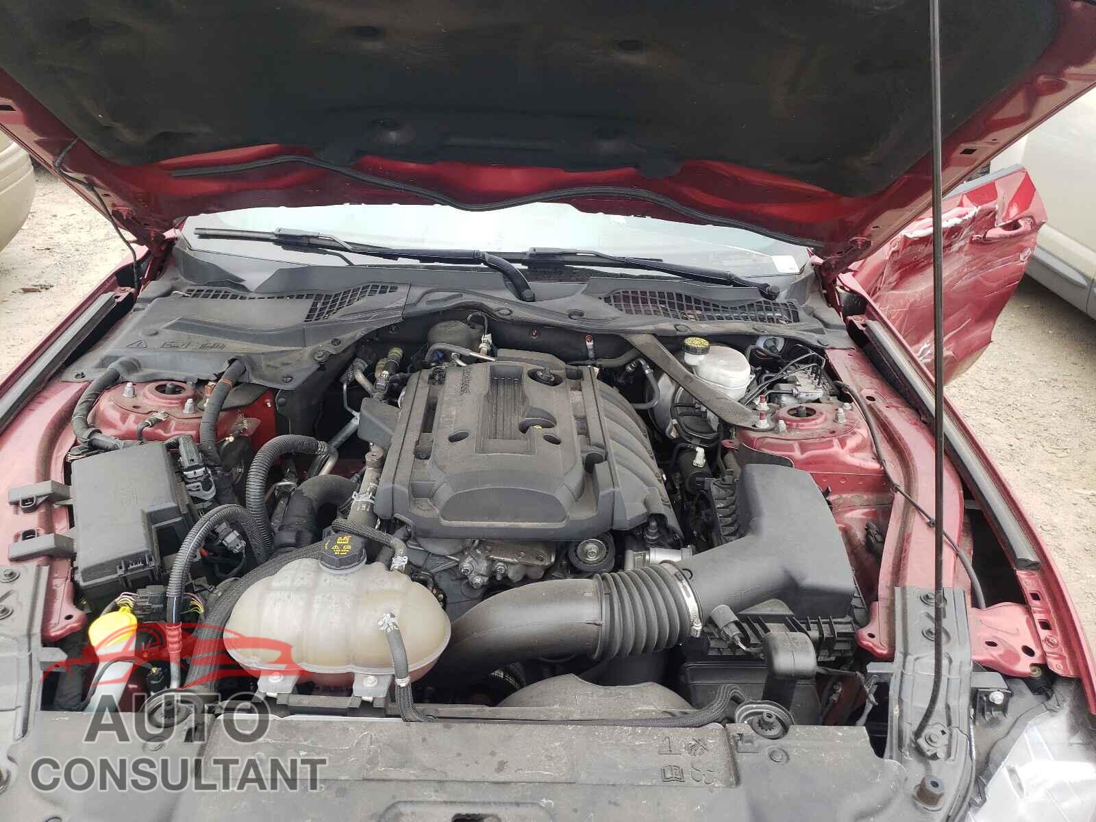 FORD MUSTANG 2019 - 1FATP8UH2K5117033