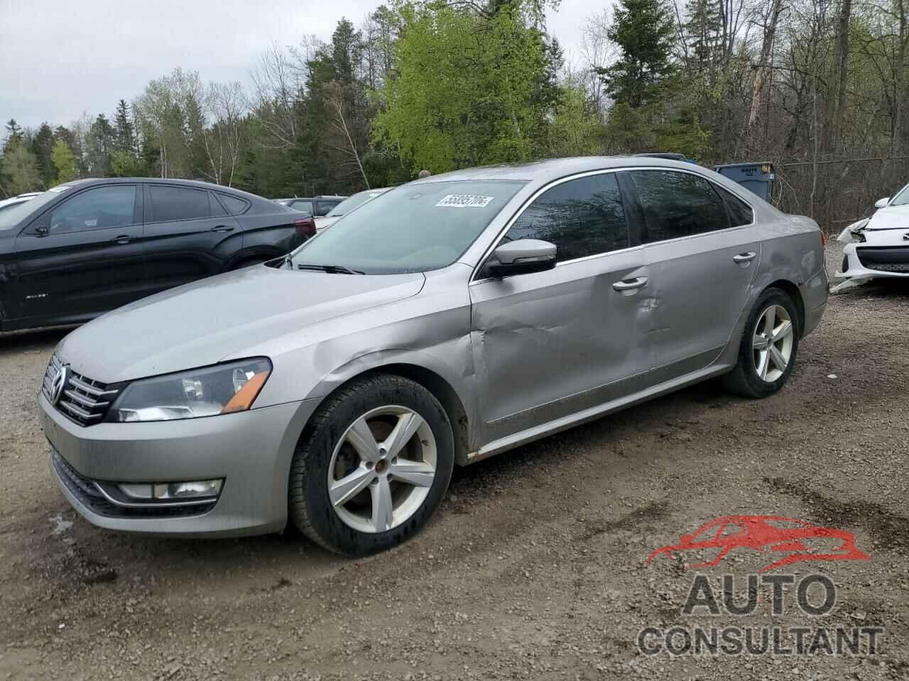 VOLKSWAGEN PASSAT 2013 - 1VWBN7A35DC015171