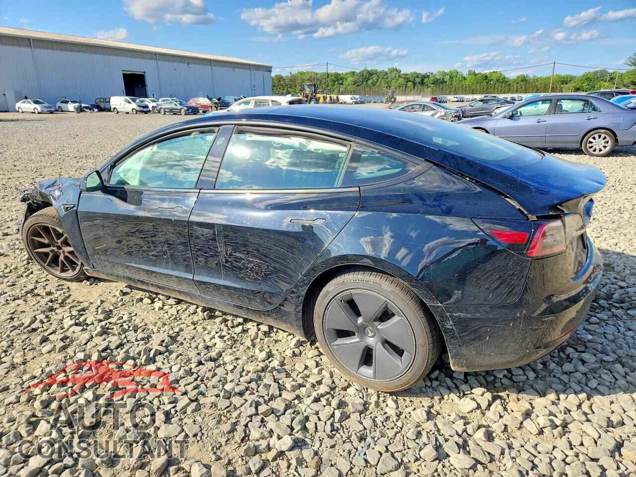TESLA MODEL 3 2022 - 5YJ3E1EA2NF194819