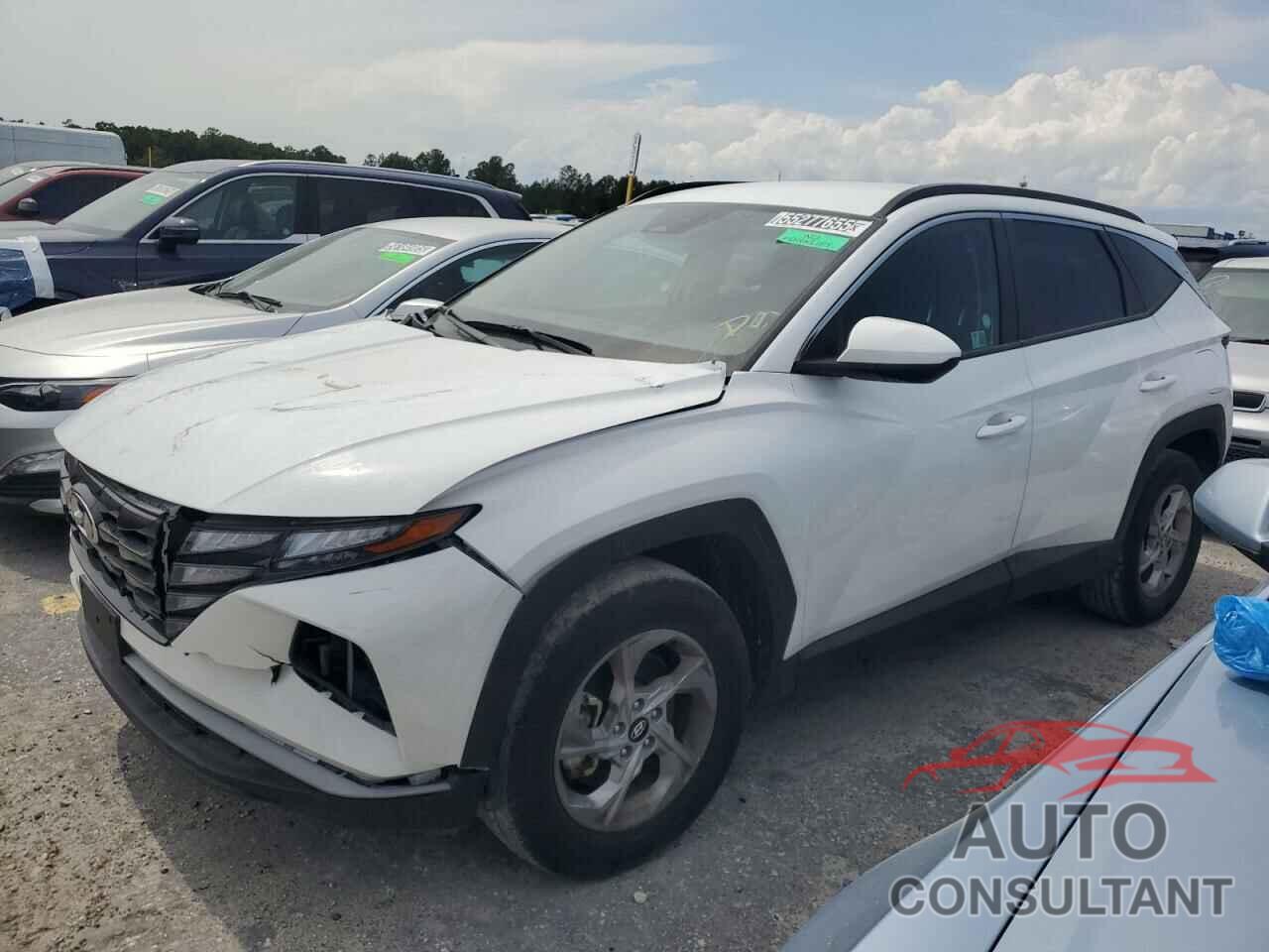 HYUNDAI TUCSON 2024 - 5NMJBCDE3RH329617