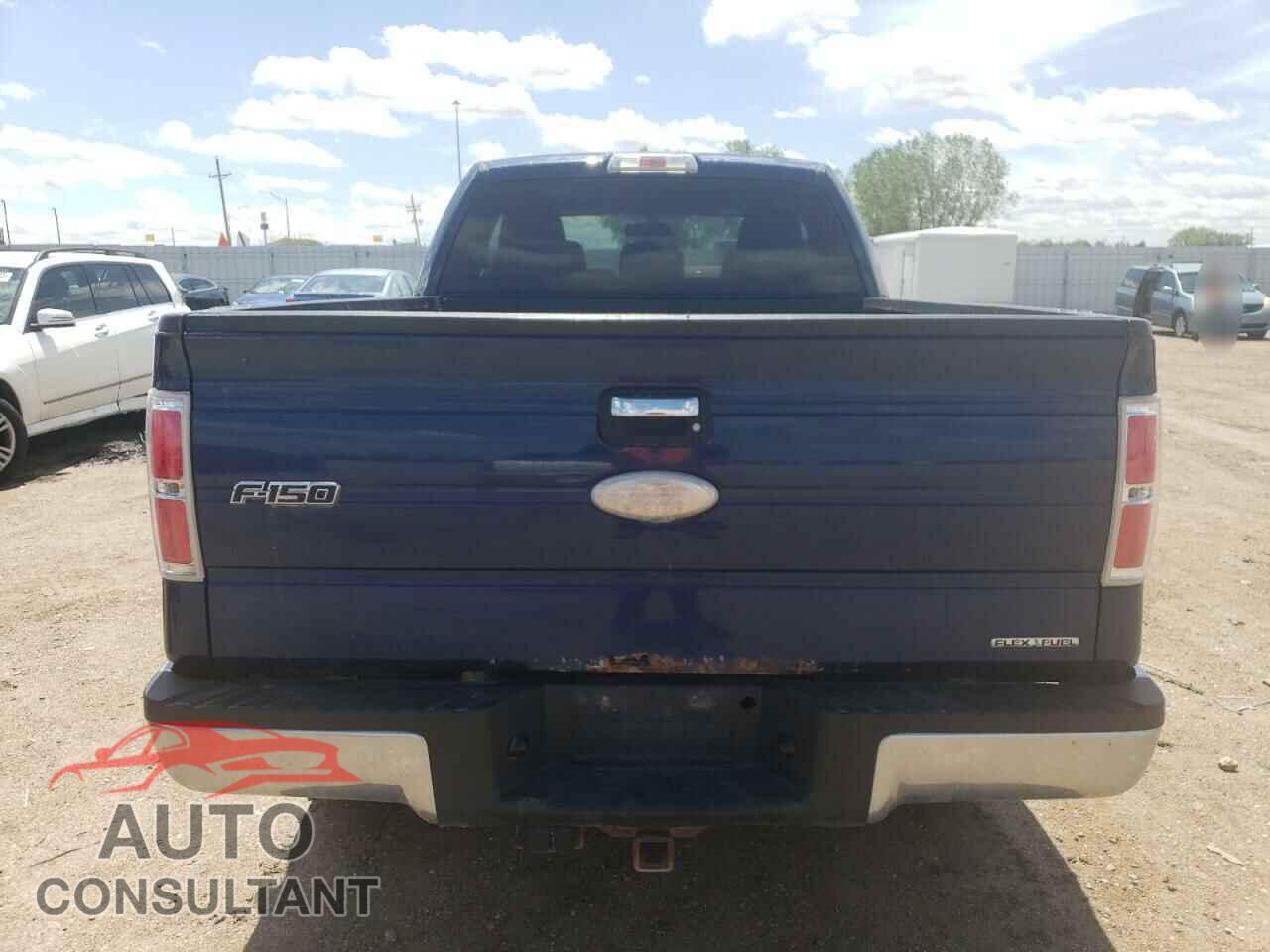 FORD F-150 2011 - 1FTFX1EF1BFC11040