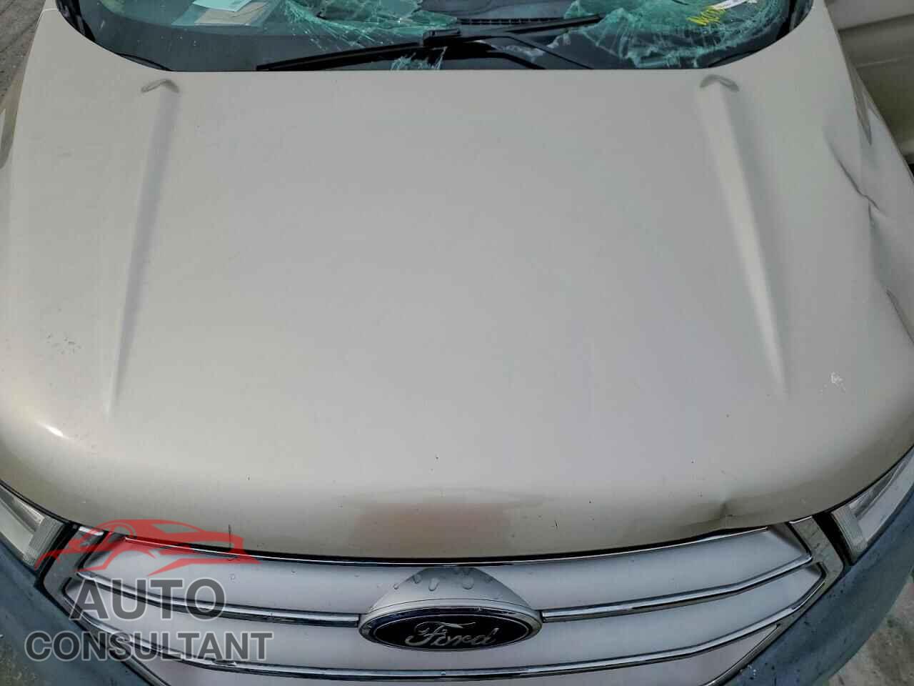 FORD EDGE 2017 - 2FMPK3G9XHBC07497