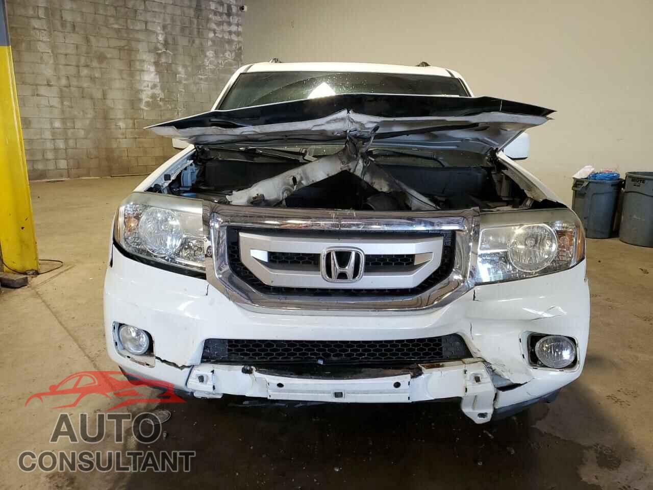 HONDA PILOT 2010 - 5FNYF4H51AB014016