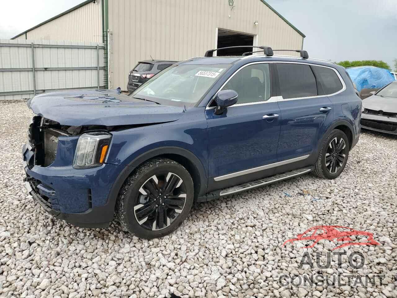 KIA TELLURIDE 2024 - 5XYP5DGC1RG444194