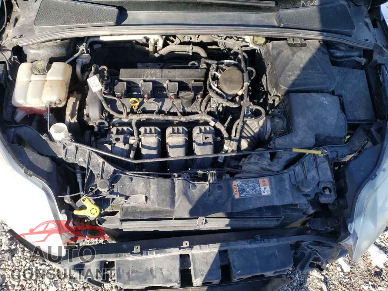 FORD FOCUS 2014 - 1FADP3F28EL362001