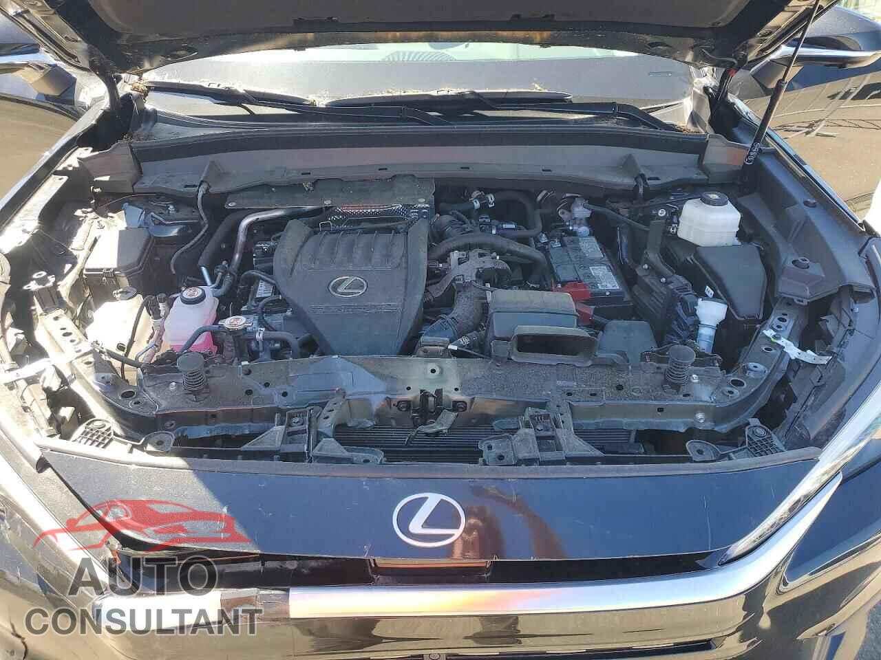 LEXUS UNKNOWN 2024 - 5TDAAAB65RS007867