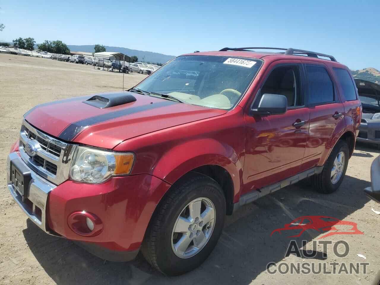 FORD ESCAPE 2011 - 1FMCU0D70BKC52116