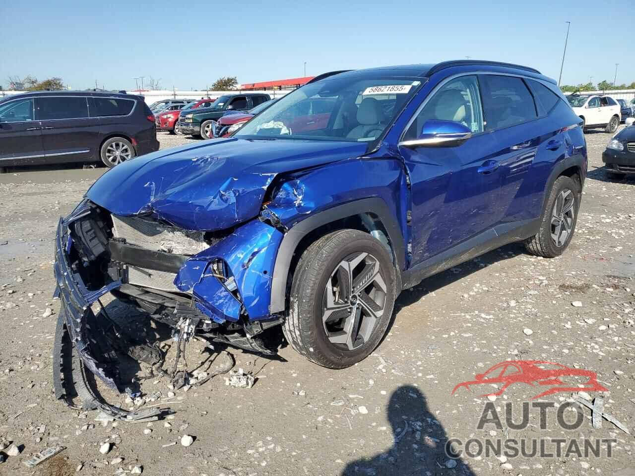 HYUNDAI TUCSON 2024 - 5NMJECDE0RH343627