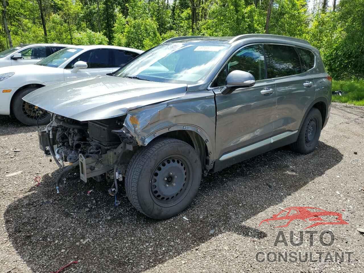 HYUNDAI SANTA FE 2019 - 5NMS5CAA0KH080552