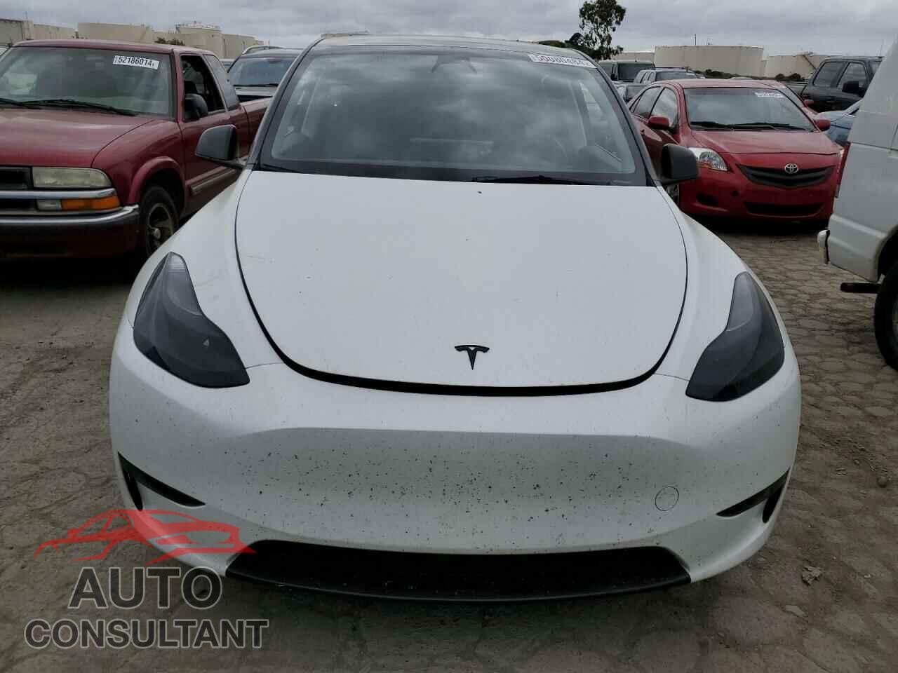 TESLA MODEL Y 2023 - 7SAYGAEE4PF628733