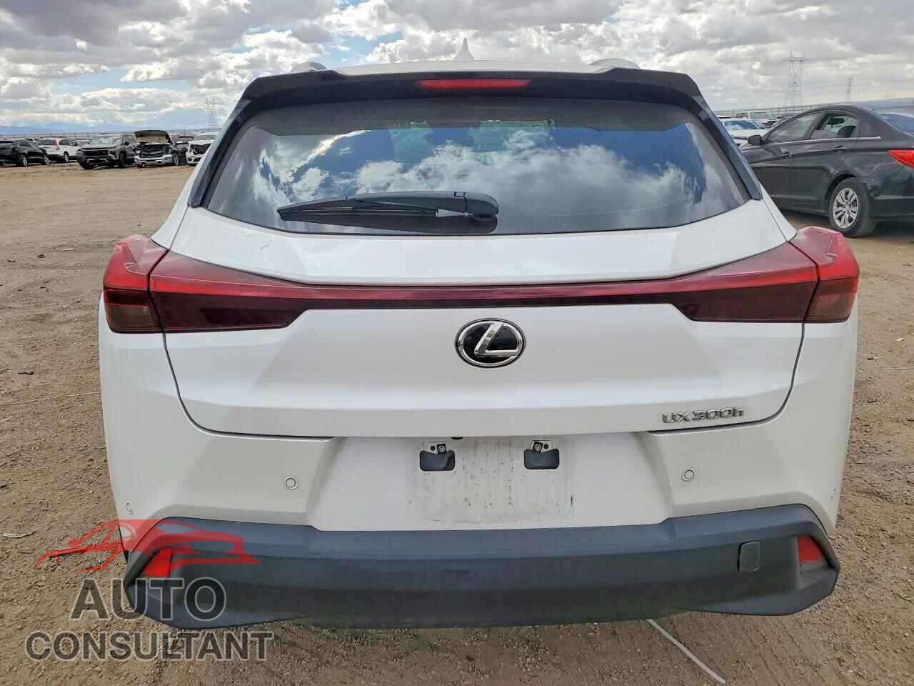 LEXUS UNKNOWN 2025 - JTHYBJAH0S2018916