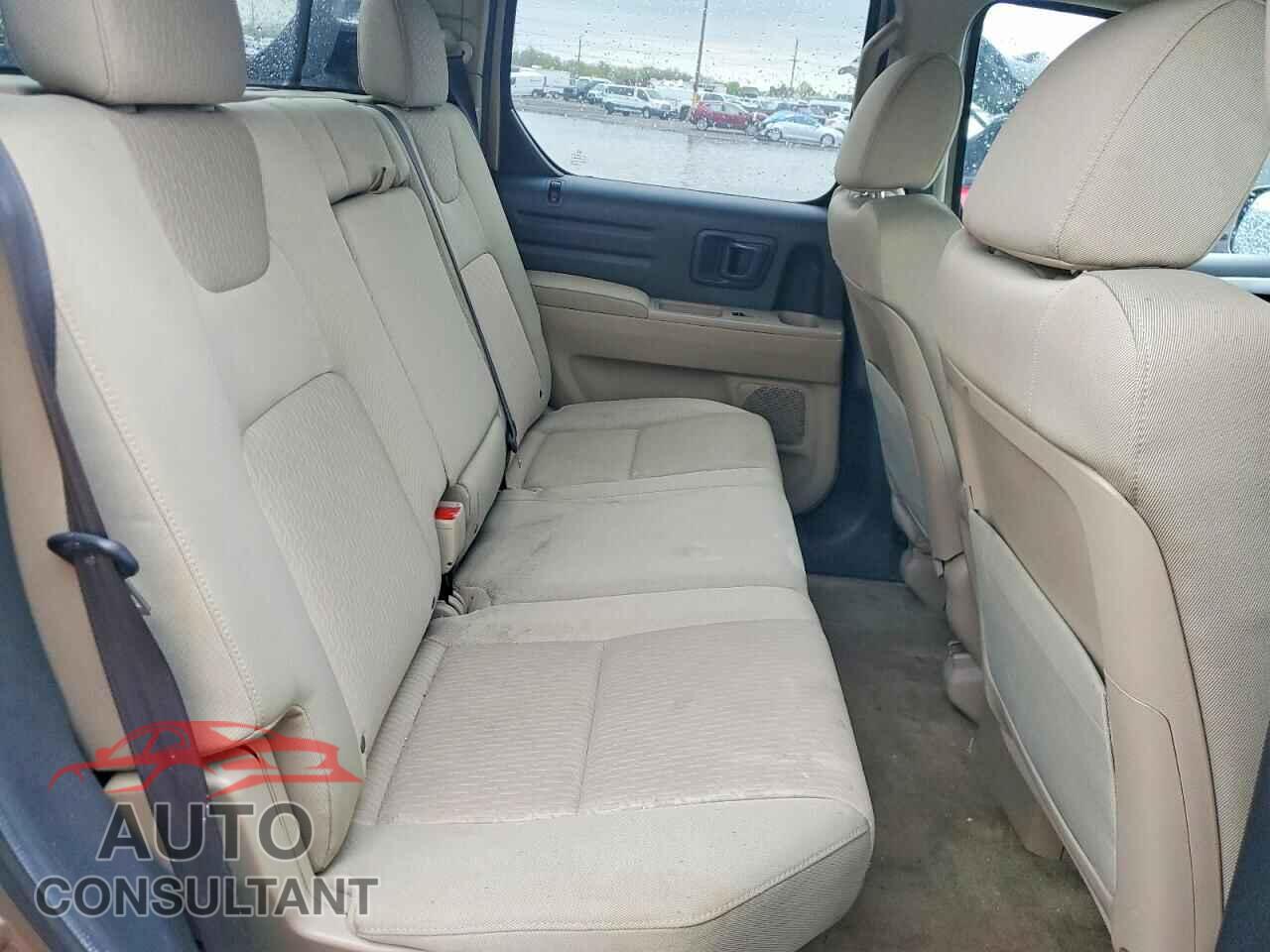 HONDA RIDGELINE 2010 - 5FPYK1F43AB010318