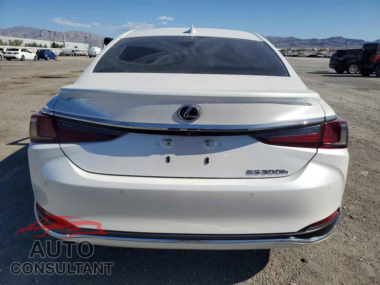 LEXUS ES300 2024 - 58ADA1C19RU048292