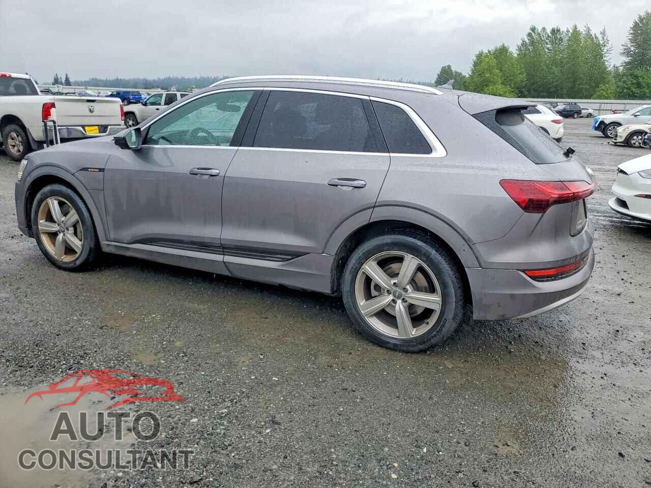 AUDI E-TRON 2019 - WA1VABGE2KB020767