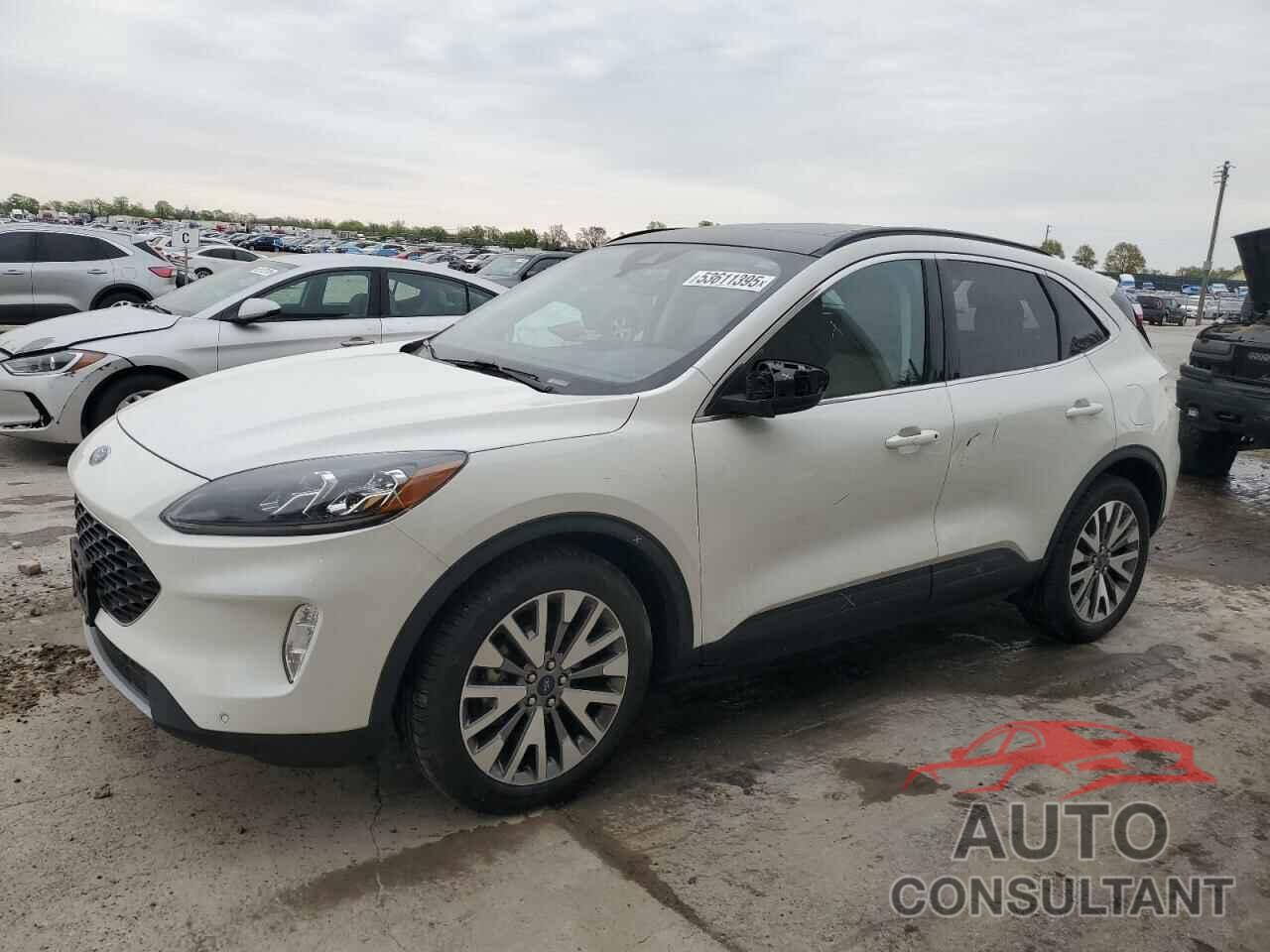 FORD ESCAPE 2022 - 1FMCU0DZ6NUA03278