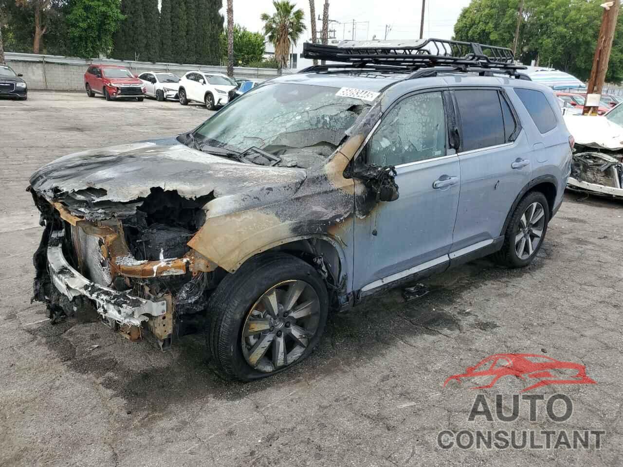 HONDA PILOT 2025 - 5FNYG1H87SB003996