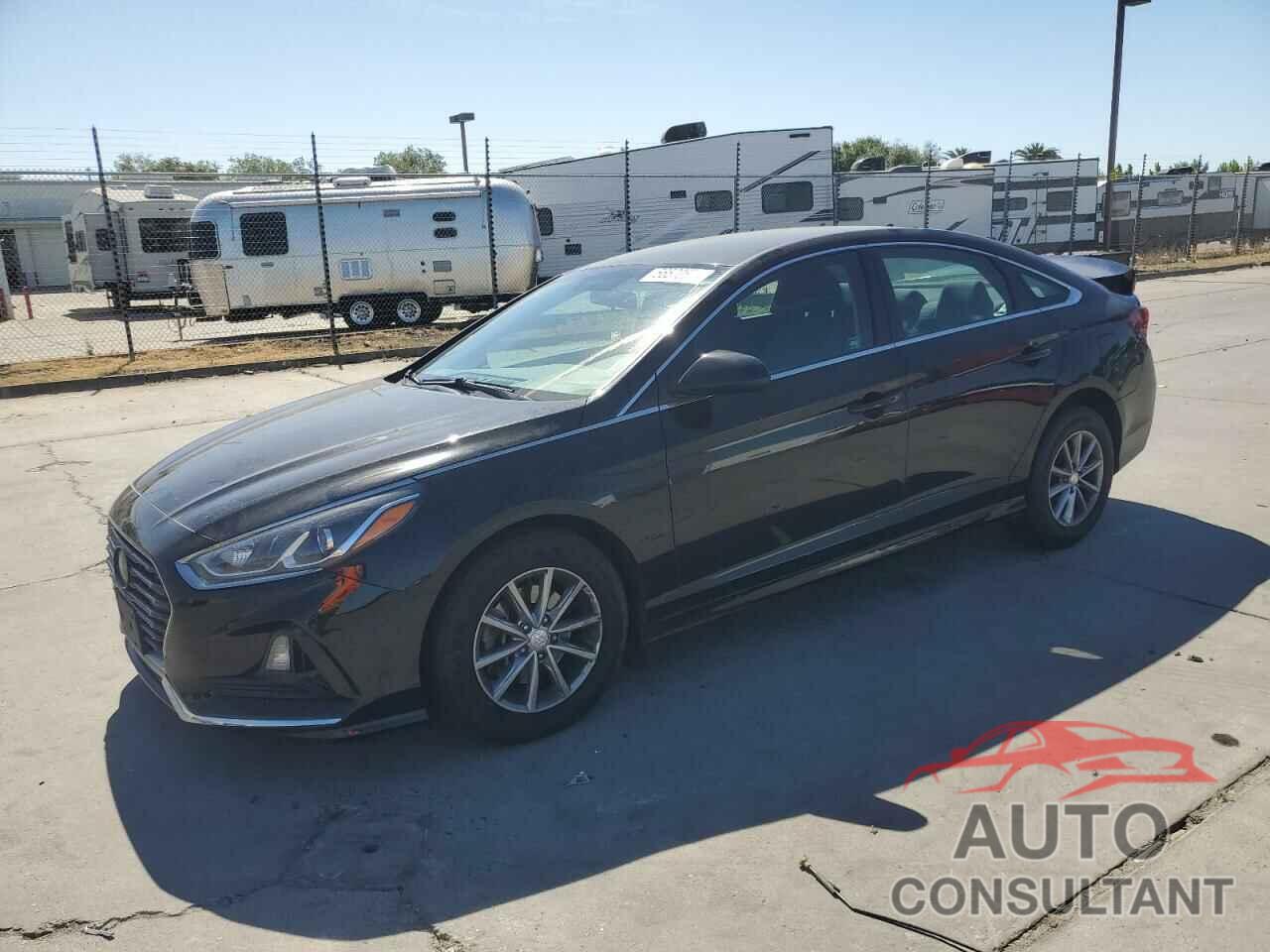 HYUNDAI SONATA 2019 - 5NPE24AF3KH737001
