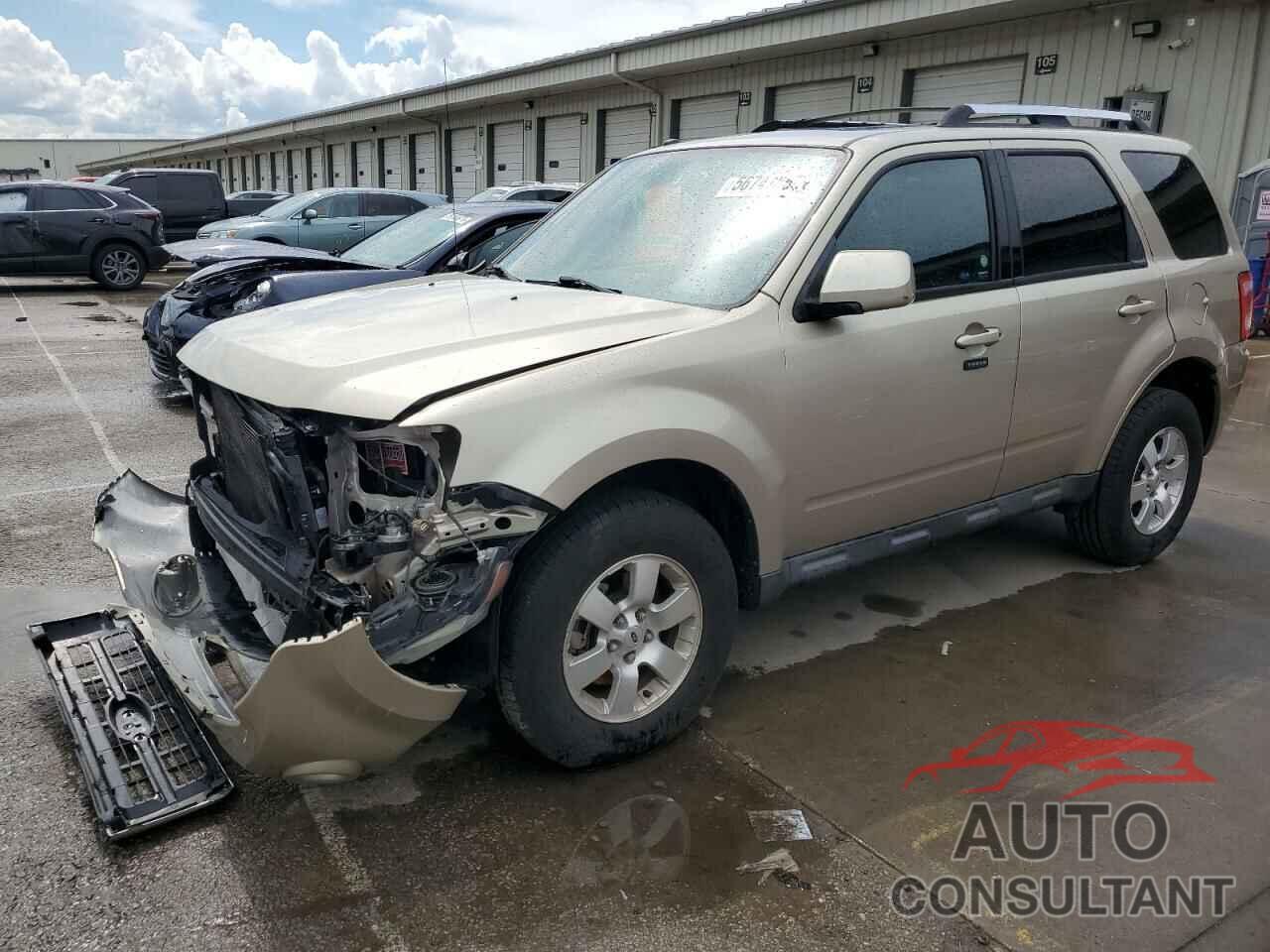 FORD ESCAPE 2010 - 1FMCU9EG2AKB77985