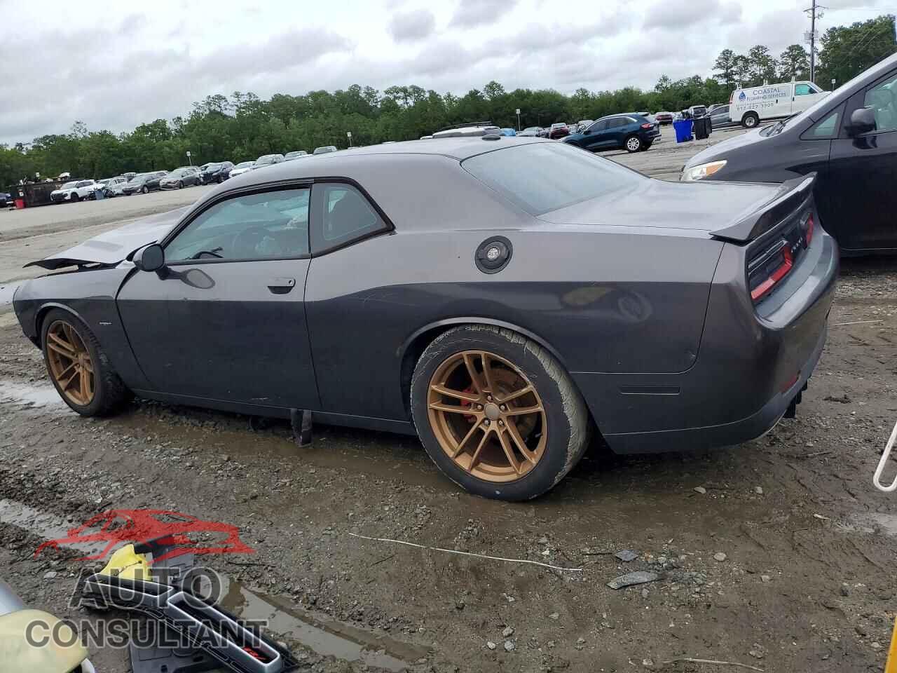 DODGE CHALLENGER 2018 - 2C3CDZBT8JH219898