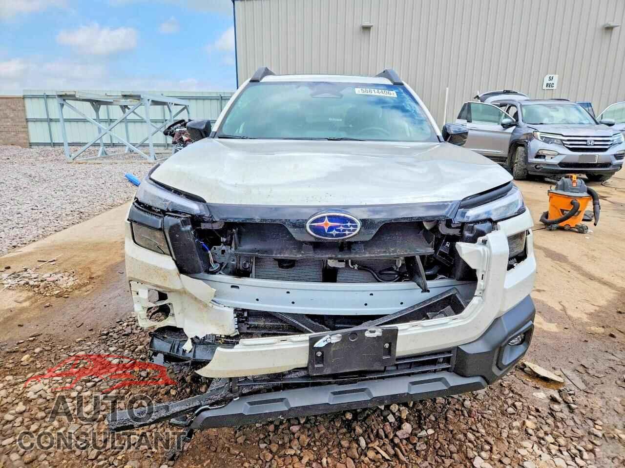 SUBARU OUTBACK 2026 - JF2BUPDD5TY466128