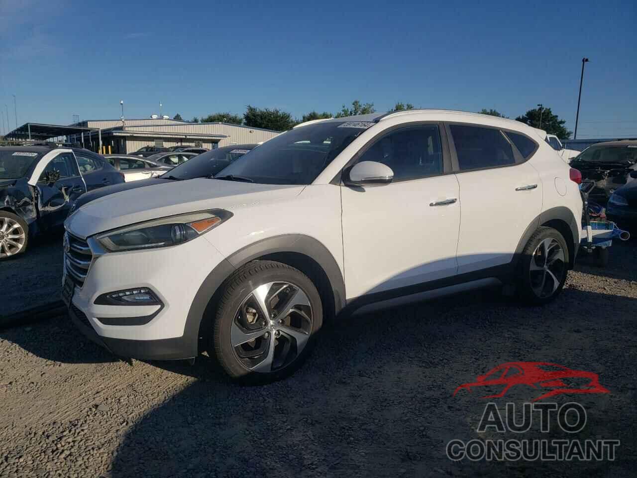 HYUNDAI TUCSON 2017 - KM8J33A21HU291587