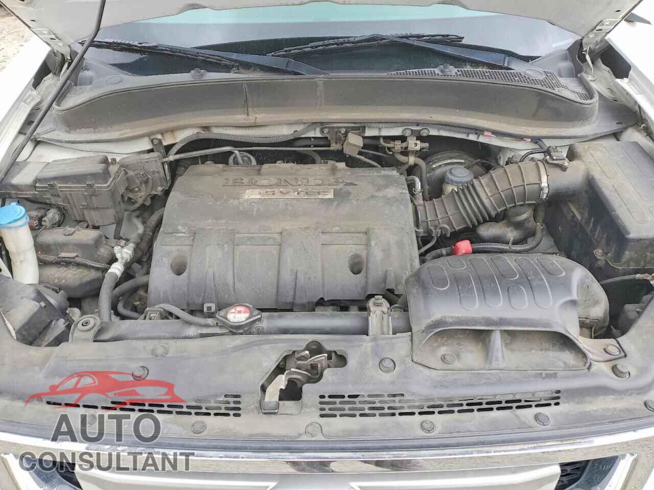 HONDA RIDGELINE 2009 - 5FPYK16429B101690
