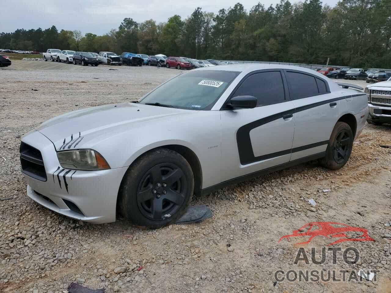 DODGE CHARGER 2014 - 2C3CDXAT8EH348171
