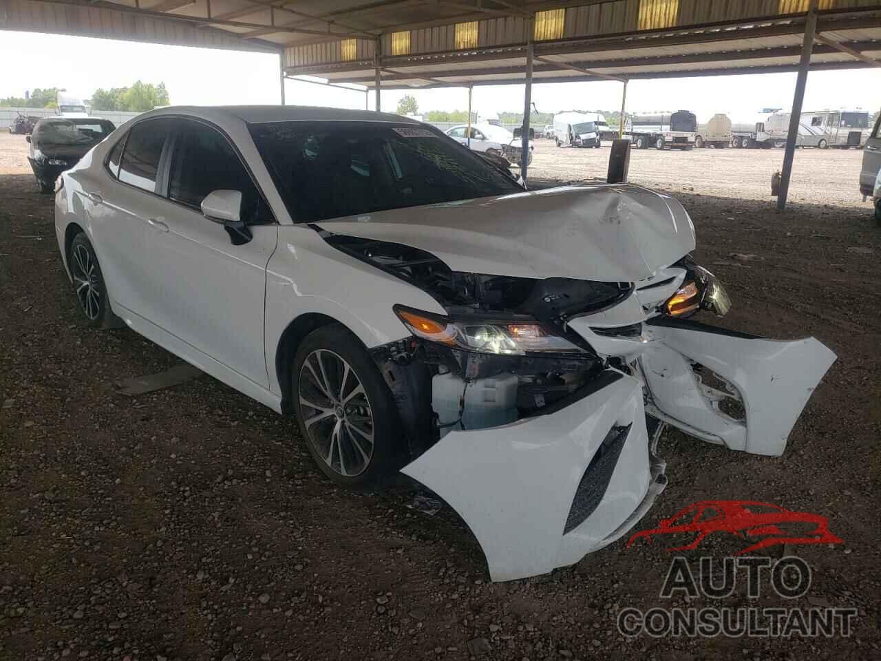 TOYOTA CAMRY 2019 - 4T1B11HKXKU184842