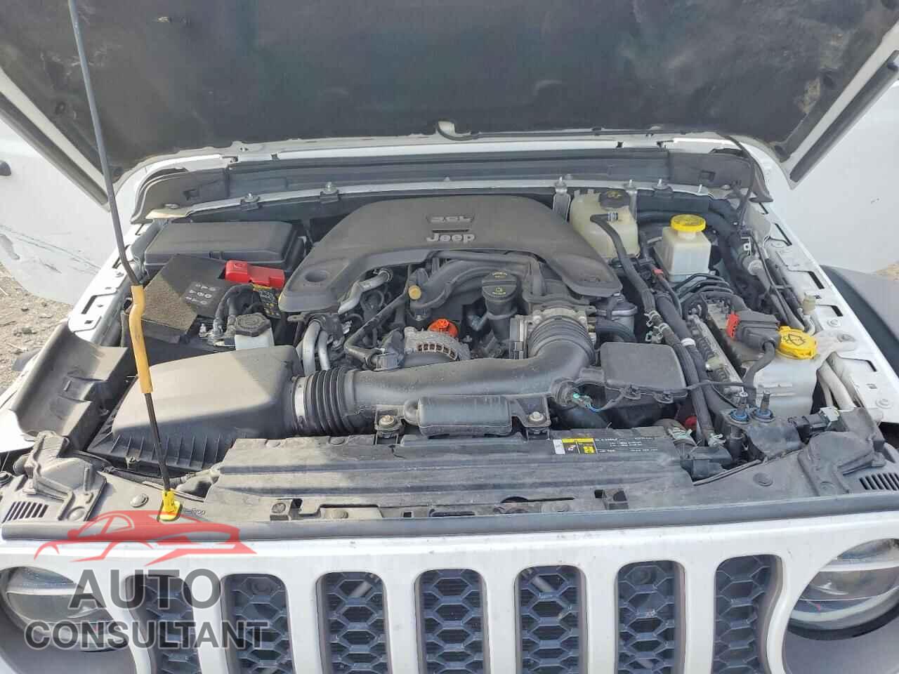 JEEP GLADIATOR 2020 - 1C6JJTBG3LL163233