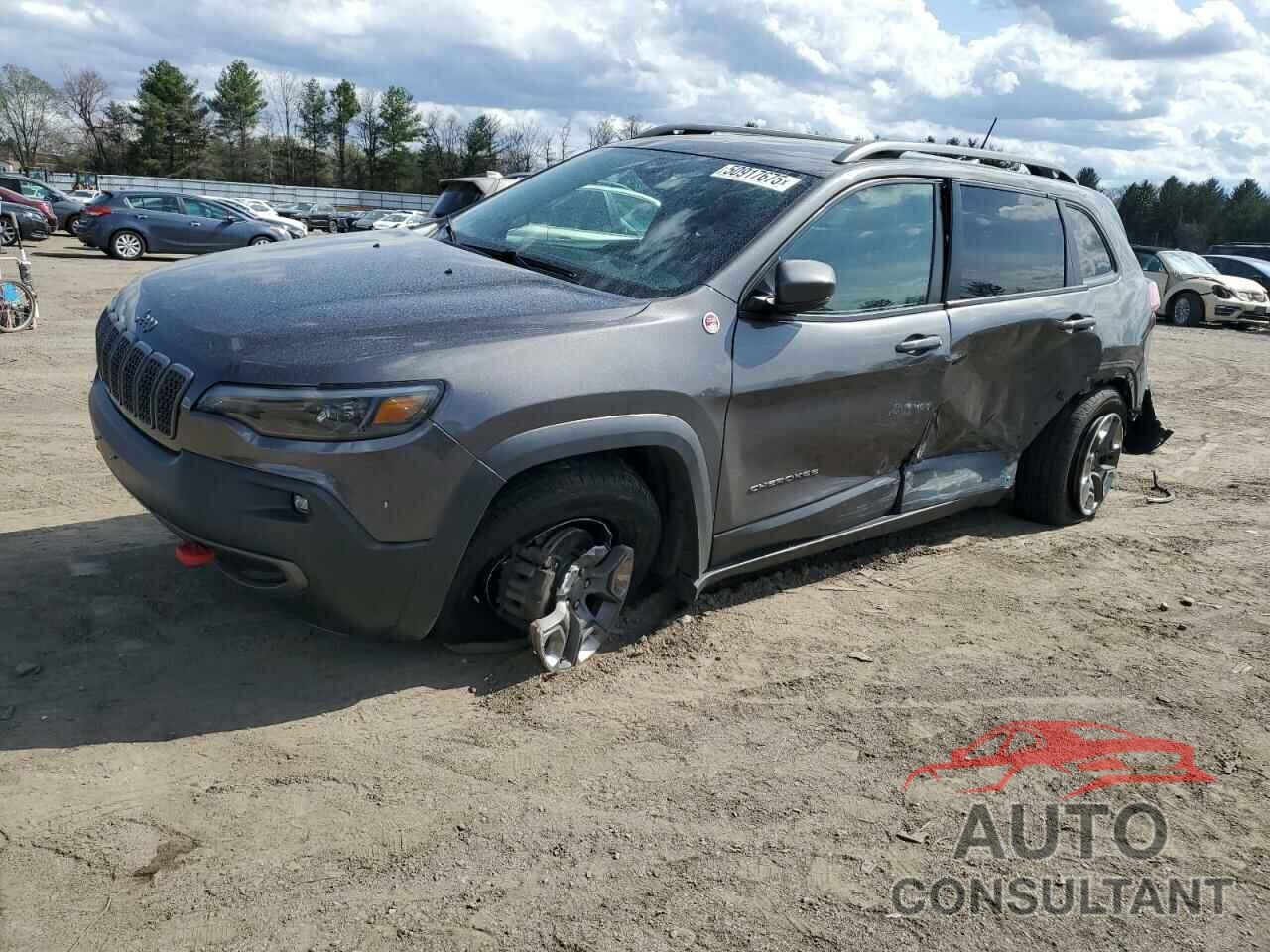 JEEP CHEROKEE 2019 - 1C4PJMBX4KD463350