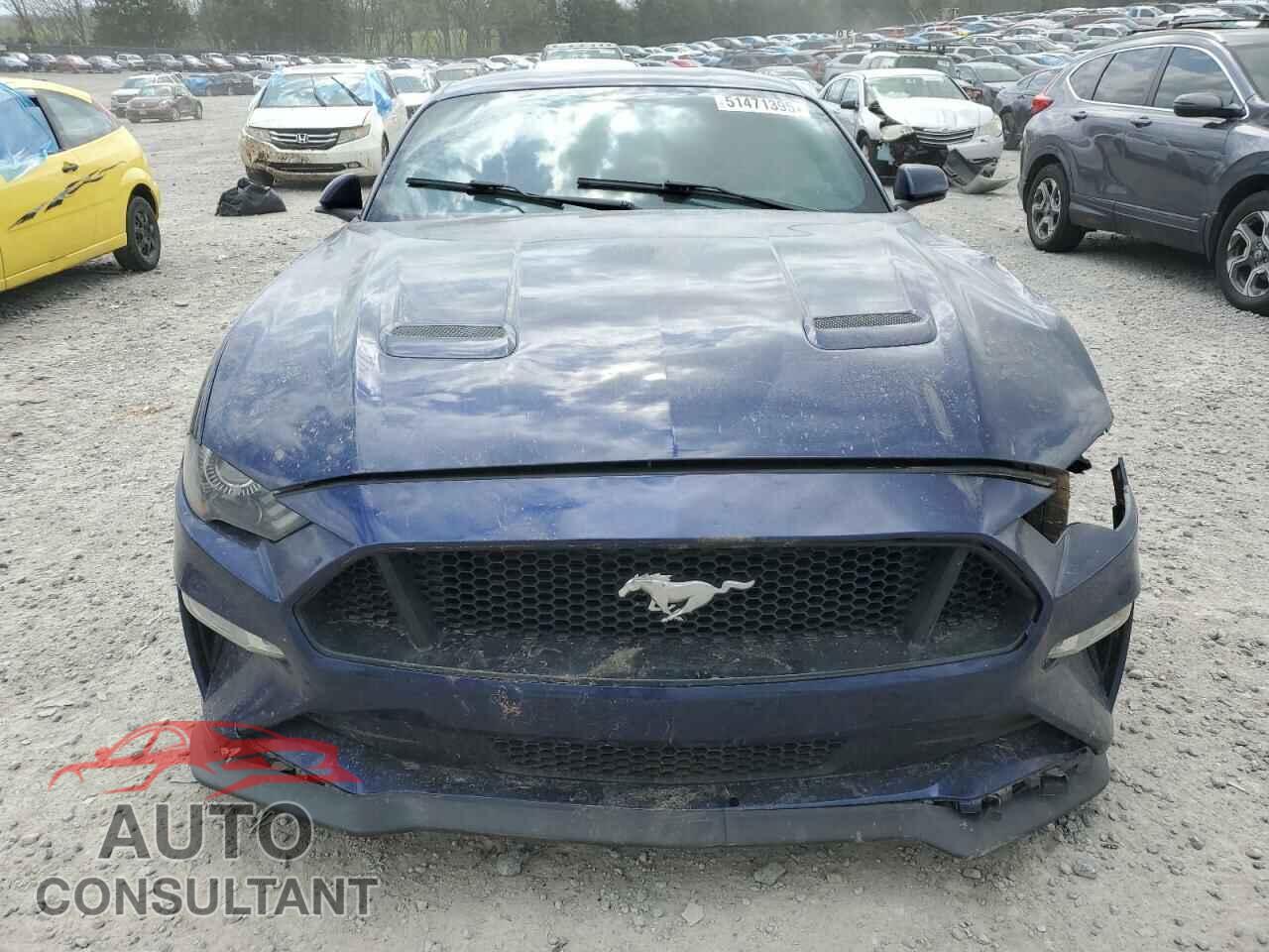 FORD MUSTANG 2019 - 1FA6P8CF2K5201110