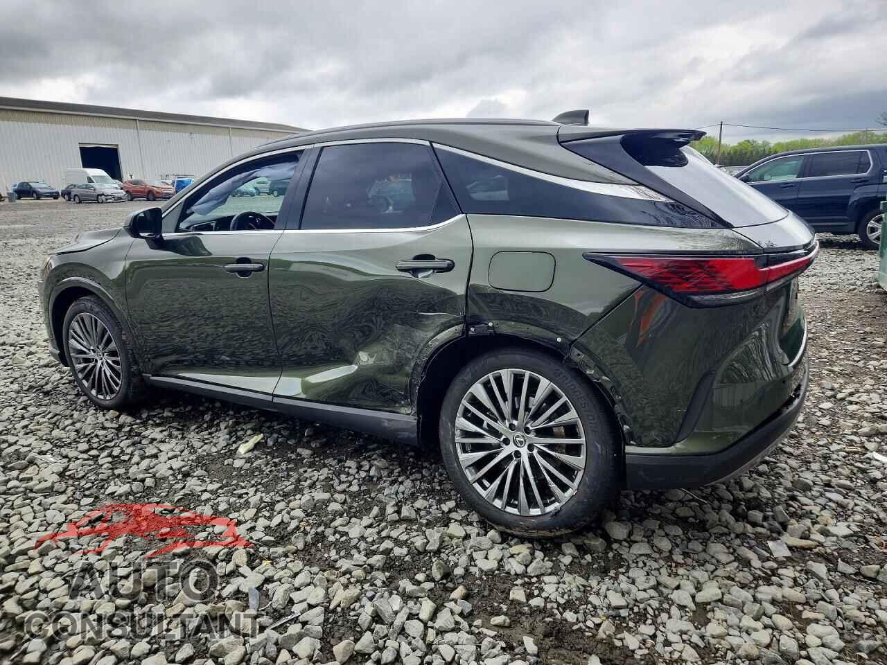 LEXUS RX330 2025 - JTJCJMGA7S2024901
