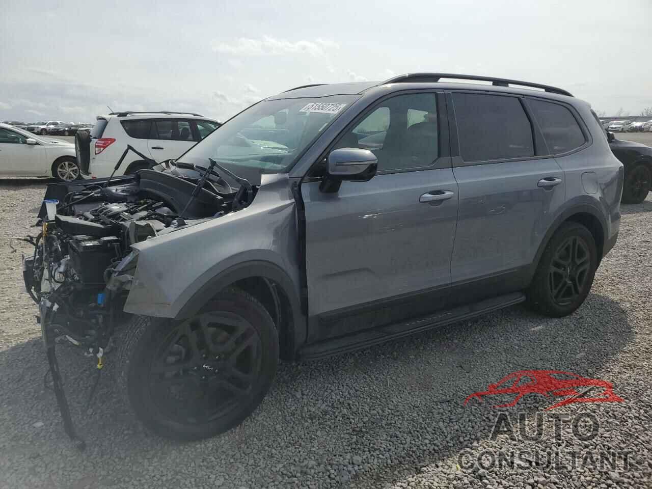 KIA TELLURIDE 2024 - 5XYP5DGC7RG519898