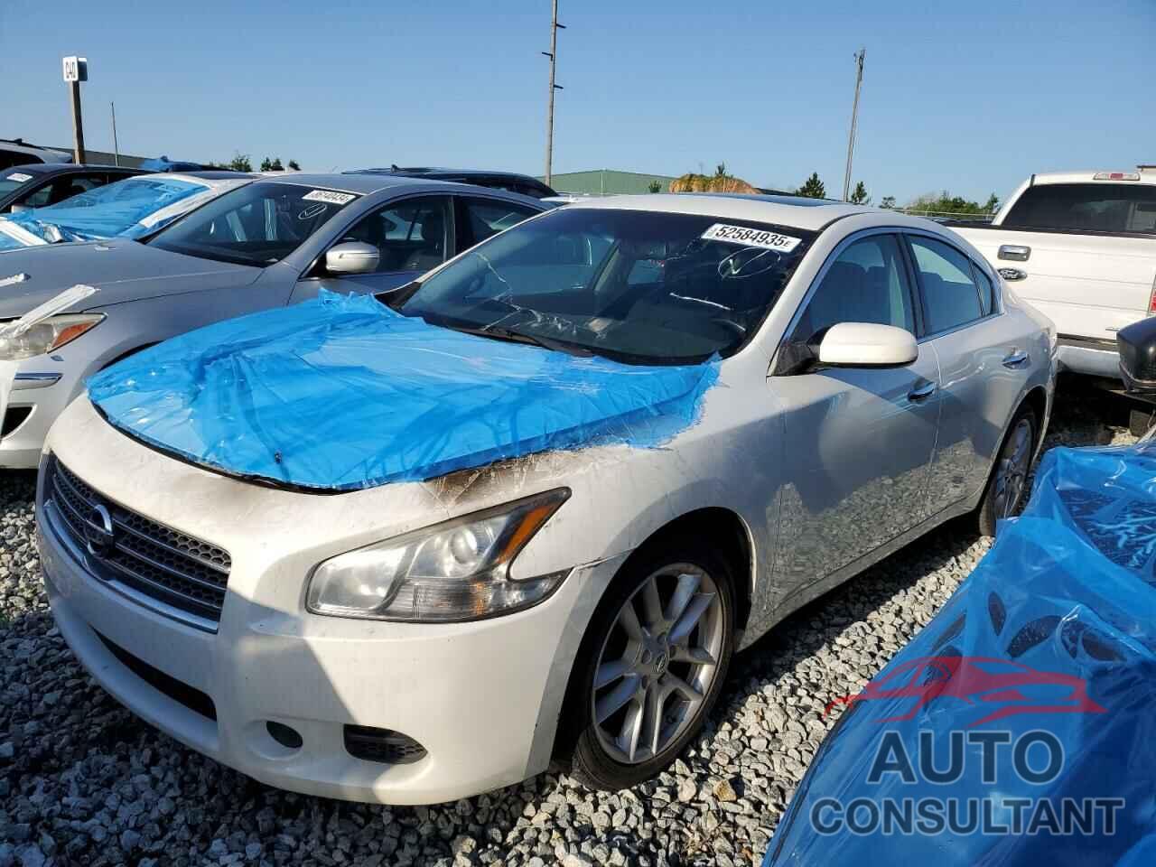 NISSAN MAXIMA 2011 - 1N4AA5AP6BC836980