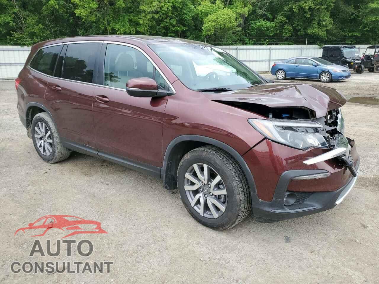 HONDA PILOT 2019 - 5FNYF5H55KB014687