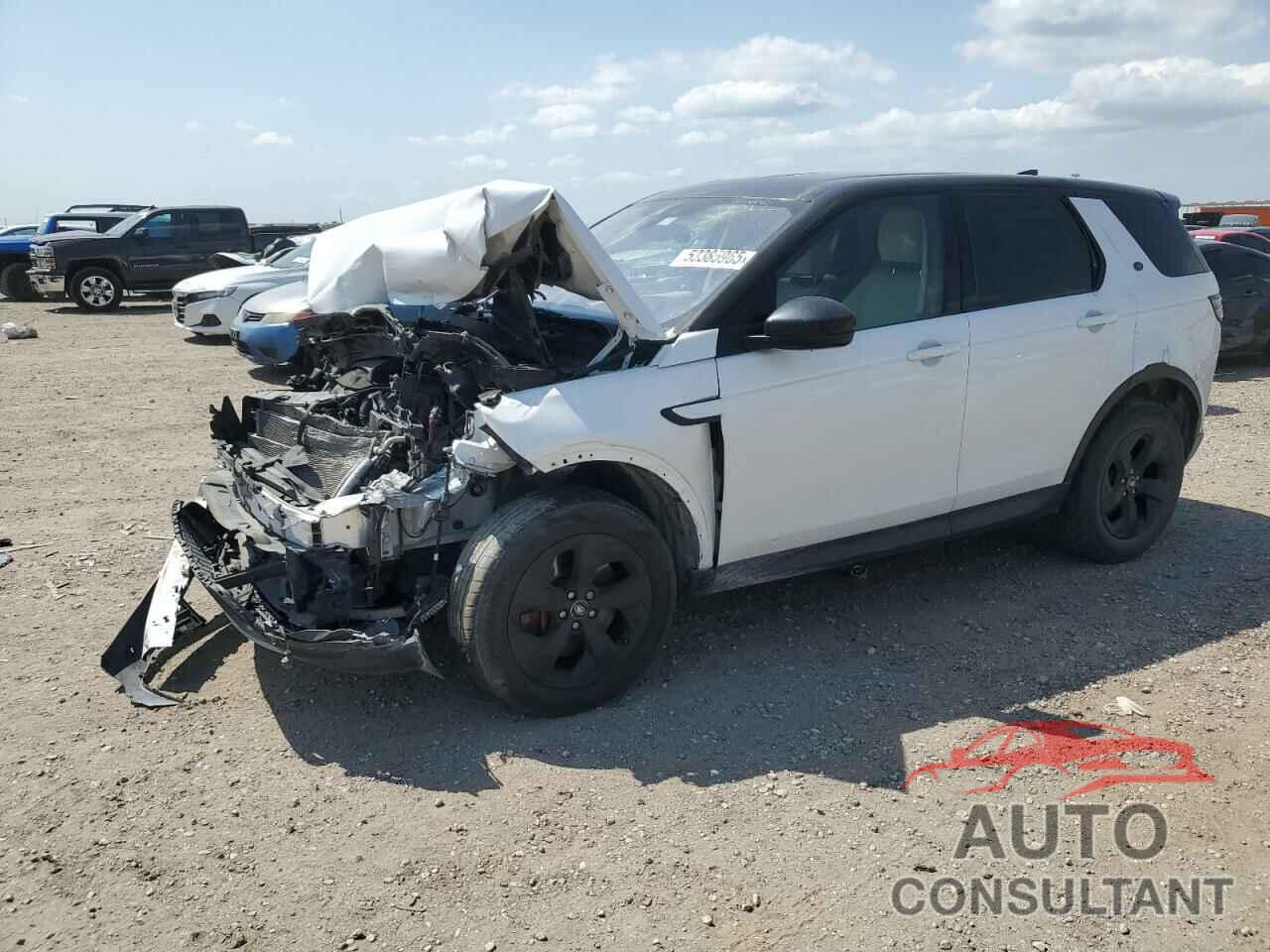 LAND ROVER DISCOVERY 2020 - SALCJ2FX3LH842839
