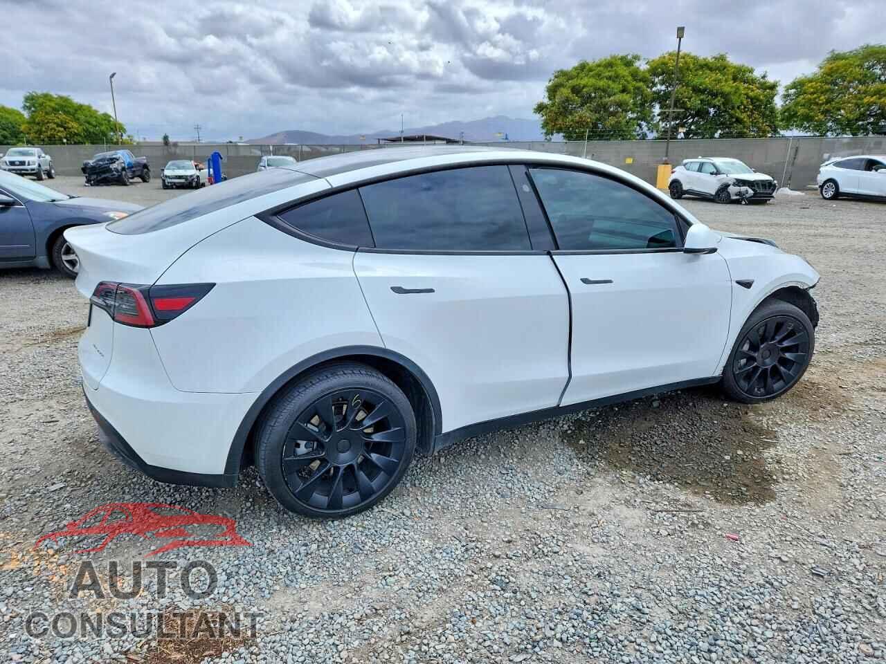 TESLA MODEL Y 2024 - 7SAYGDEE8RF069143