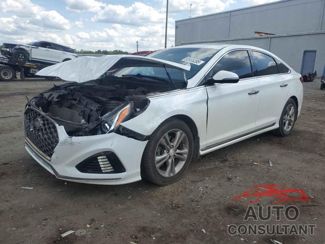 HYUNDAI SONATA 2018 - 5NPE34AF6JH680594