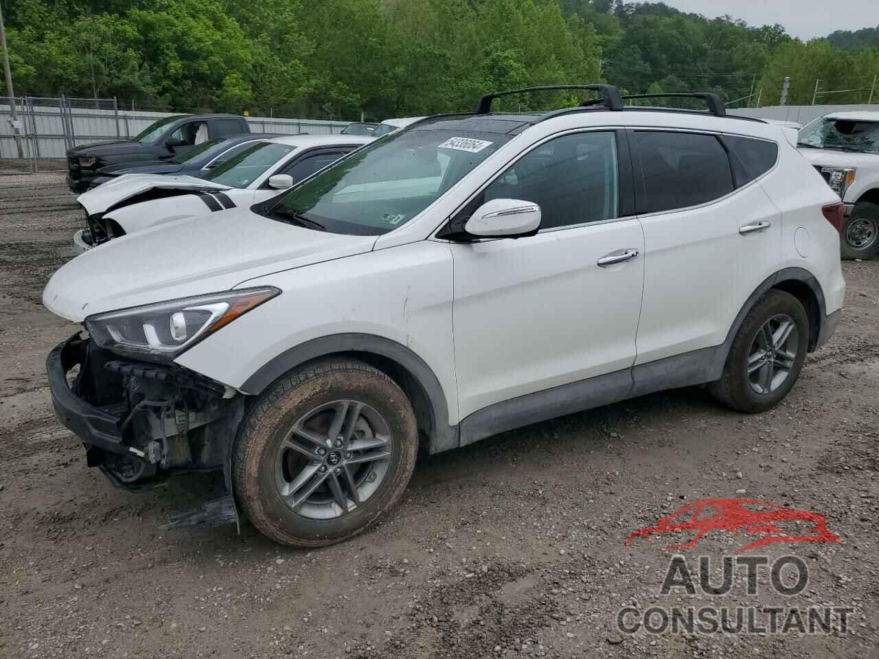 HYUNDAI SANTA FE 2017 - 5XYZUDLB7HG396918