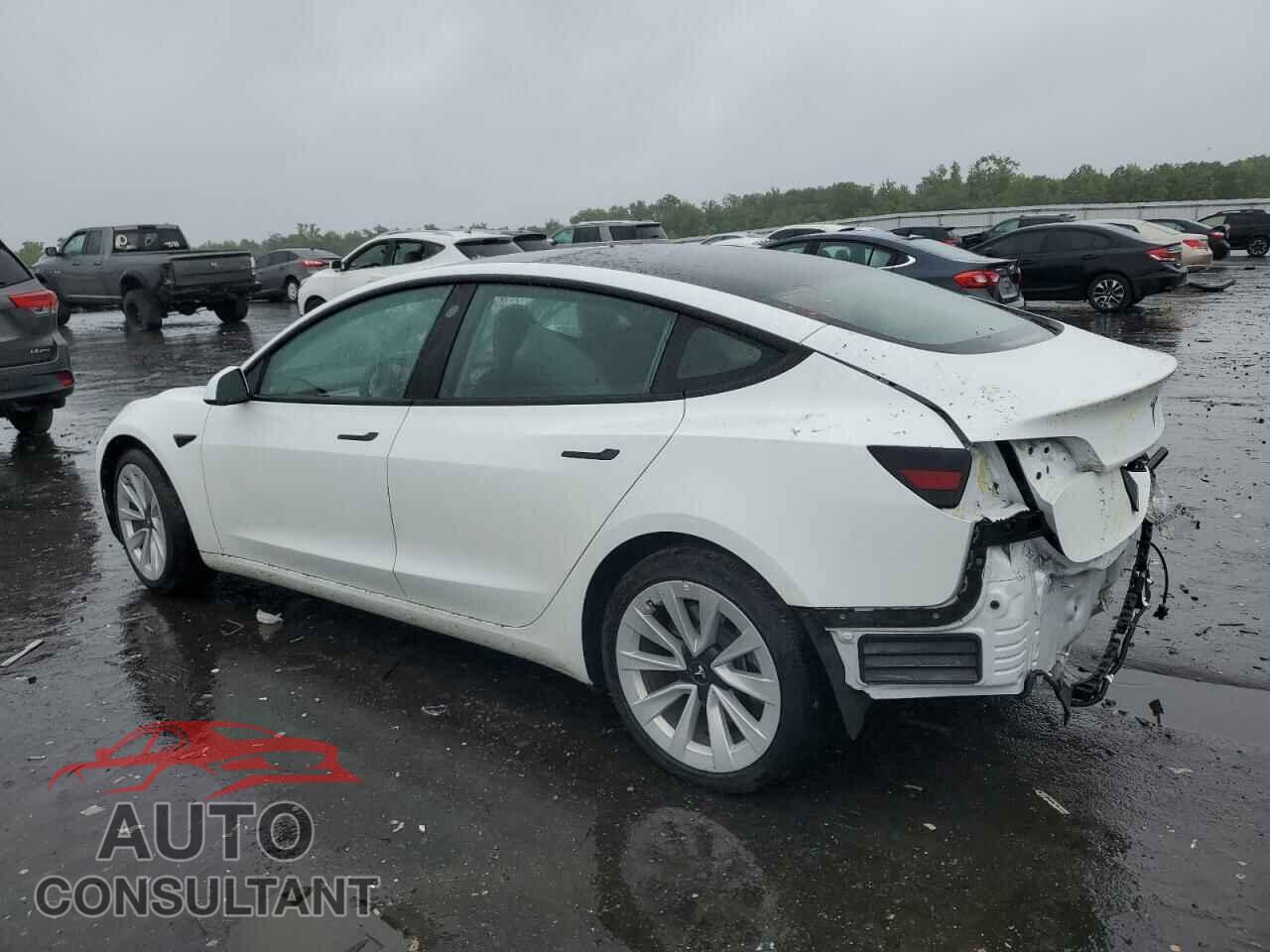 TESLA MODEL 3 2021 - 5YJ3E1EA5MF086337