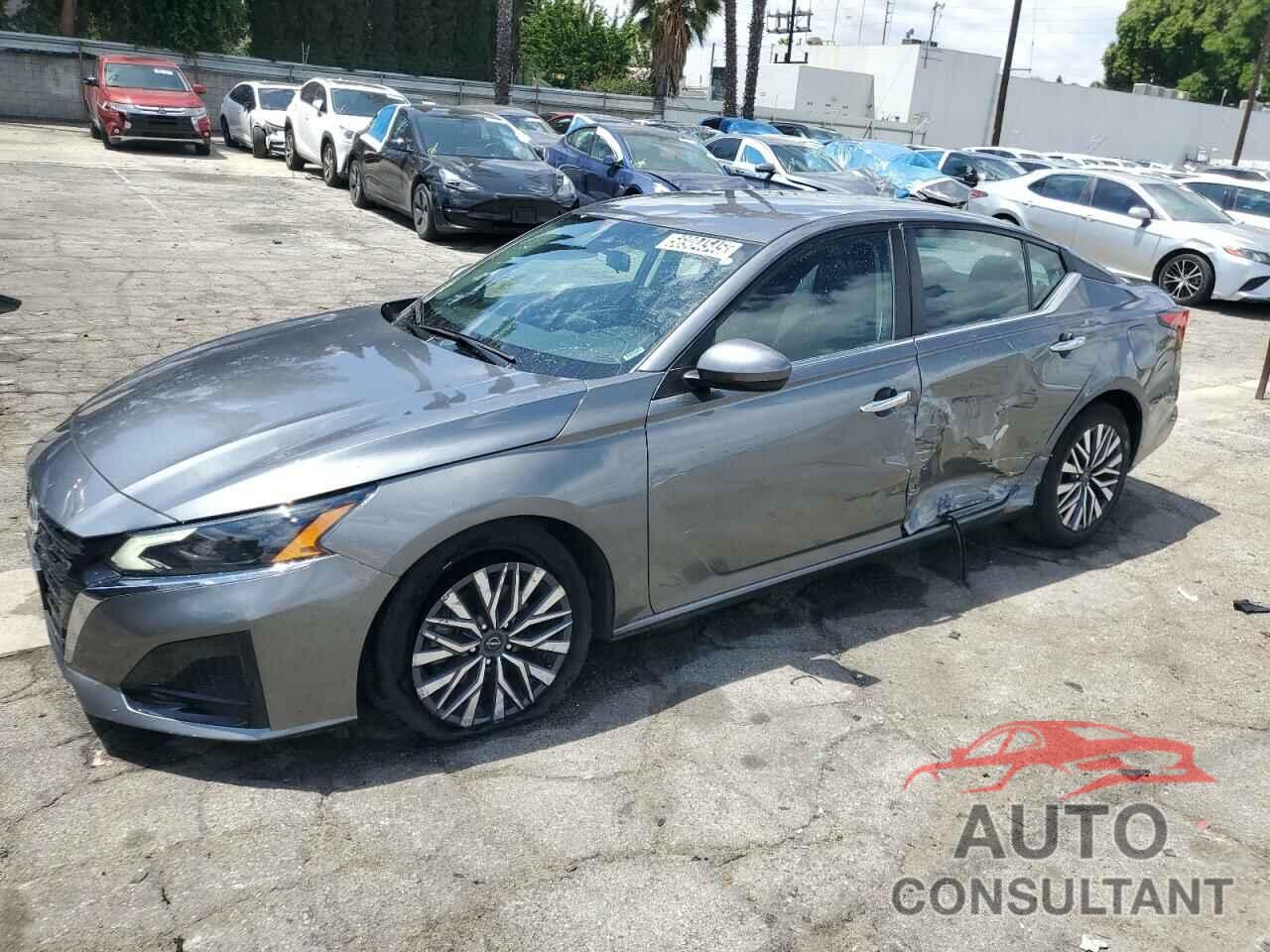 NISSAN ALTIMA 2023 - 1N4BL4DV7PN317631