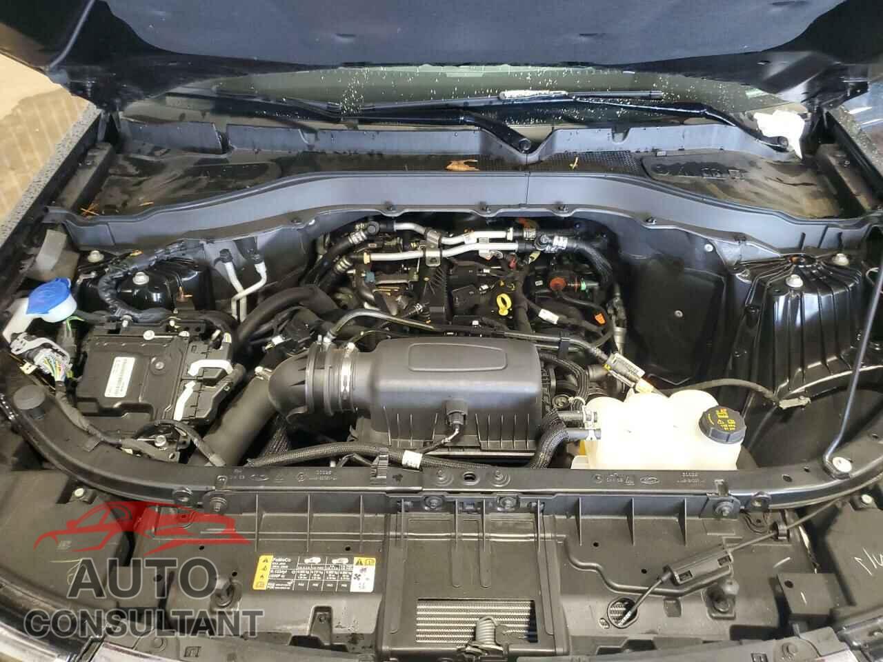 FORD EXPLORER 2022 - 1FMSK8DH4NGC34430