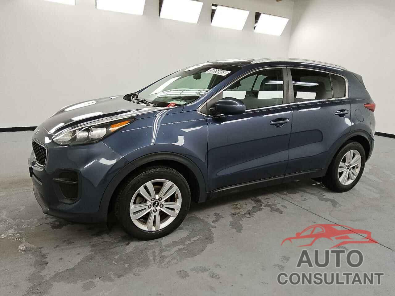 KIA SPORTAGE 2017 - KNDPM3AC6H7244185