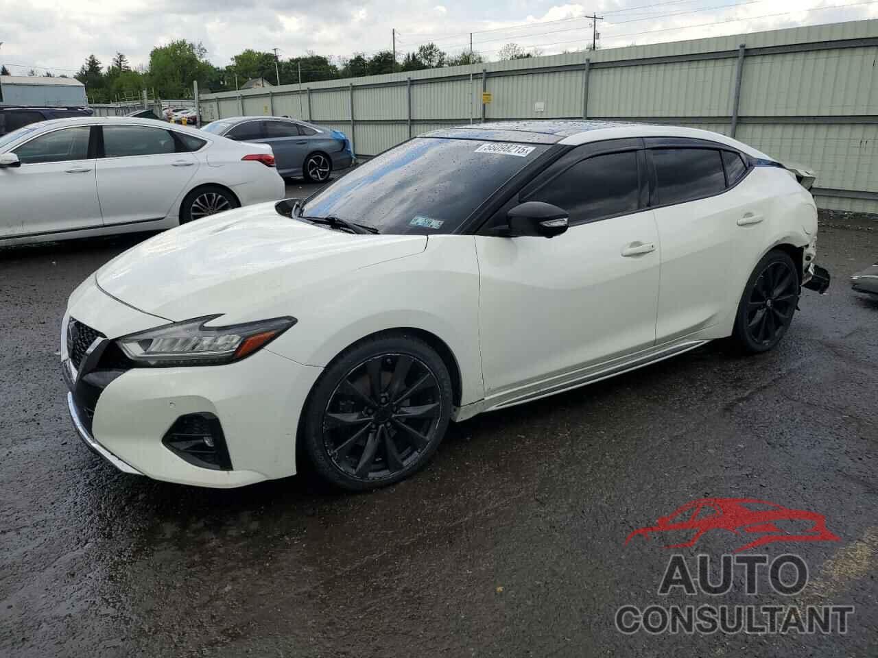NISSAN MAXIMA 2019 - 1N4AA6AV8KC362843