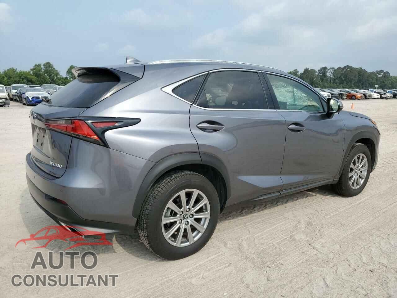 LEXUS NX 2021 - JTJDARBZ1M2181616