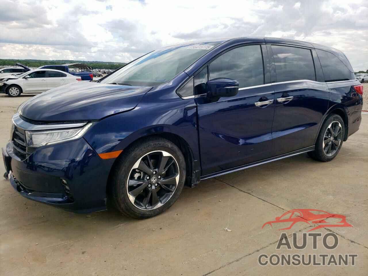 HONDA ODYSSEY 2024 - 5FNRL6H95RB056759